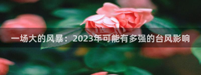 赢彩app官网官方：一场大的风暴：2023年可能有多强的台风影响
