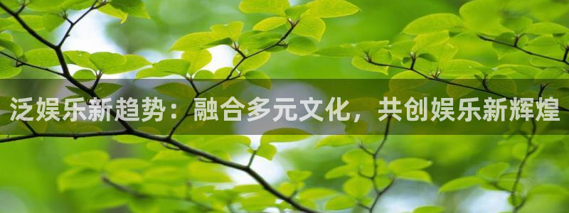 下载赢彩app最新版：泛娱乐新趋势：融合多元文化，共创娱乐新辉煌