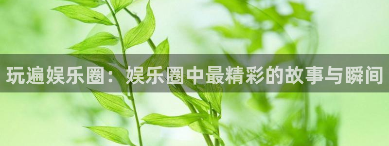 二四六天天彩944,赢彩：玩遍娱乐圈：娱乐圈中最精彩的故事与瞬间