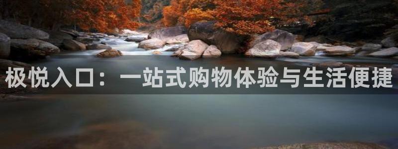 济南赢彩数码科技有限公司：极悦入口：一站式购物体验与生活便捷