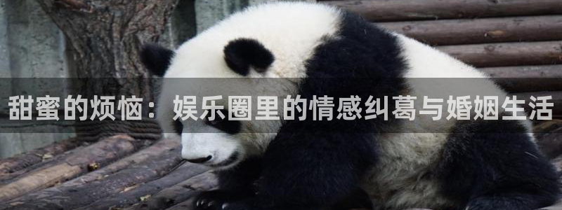 速赢彩：甜蜜的烦恼：娱乐圈里的情感纠葛与婚姻生活