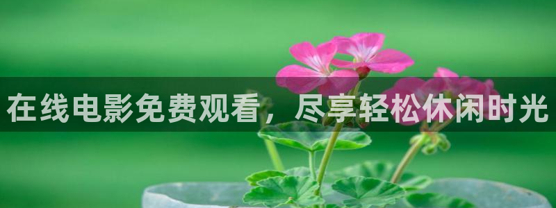 125123.赢彩天彩天下：在线电影免费观看，尽享轻松休闲时光