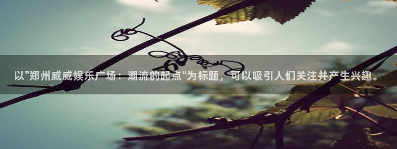 赢彩网址：以\