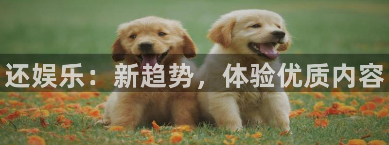 赢彩吧(859cc)赢彩图文：还娱乐：新趋势，体验优质内容
