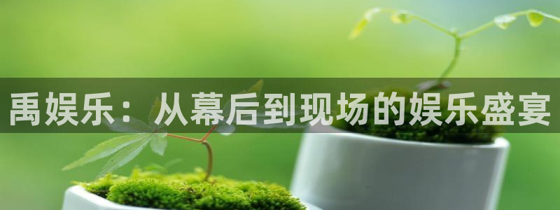15144con赢彩：禹娱乐：从幕后到现场的娱乐盛宴