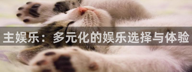 859.cc赢彩吧859cc赢彩网：主娱乐：多元化的娱乐选择与体验