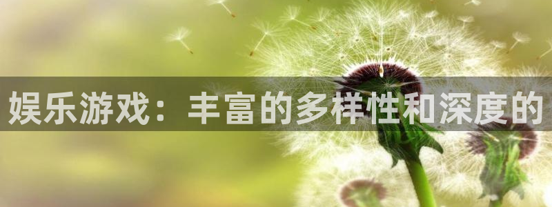 天下赢彩正规入口：娱乐游戏：丰富的多样性和深度的