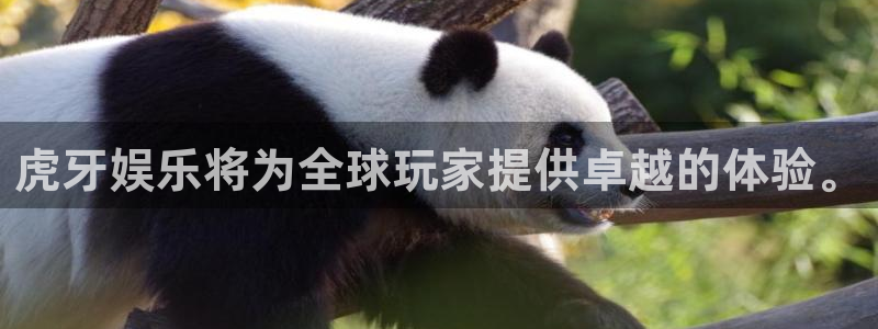 赢彩吧859cc赢彩：虎牙娱乐将为全球玩家提供卓越的体验。