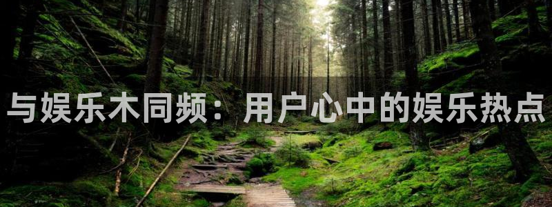 赢彩手机端：与娱乐木同频：用户心中的娱乐热点