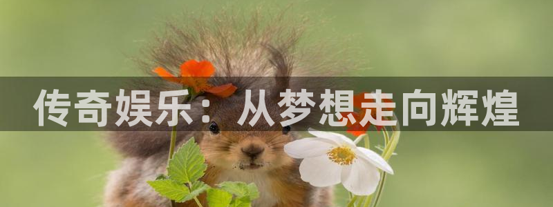 赢彩吧(859cc)赢彩图文：传奇娱乐：从梦想走向辉煌