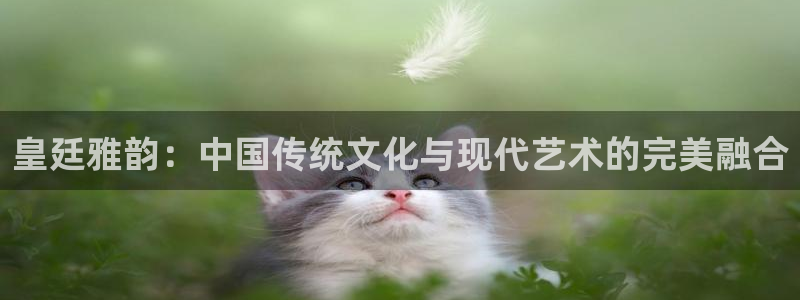 赢彩吧(859cc)赢彩吧图文资料：皇廷雅韵：中国传统文化与现代艺术的完美融合