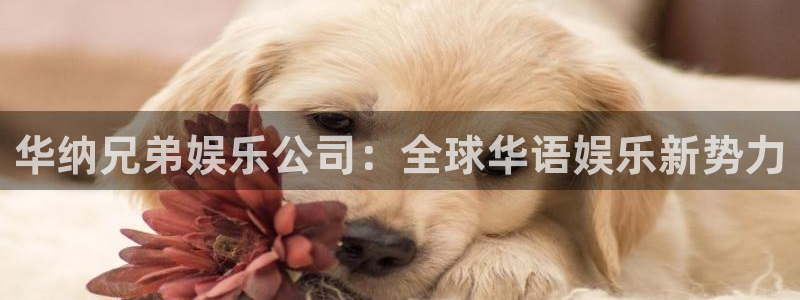 赢彩联盟：华纳兄弟娱乐公司：全球华语娱乐新势力