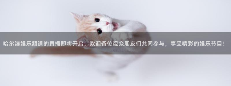 澳门赢彩天下：哈尔滨娱乐频道的直播即将开启，欢迎各位观众朋友们共同参与，享受精彩的娱乐节目！