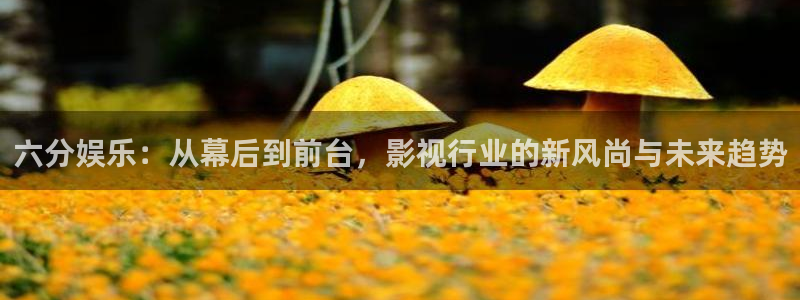 859cc赢彩吧开奖彩：六分娱乐：从幕后到前台，影视行业的新风尚与未来趋势