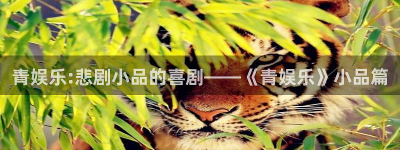 澳门赢彩网：青娱乐:悲剧小品的喜剧——《青娱乐》小品篇