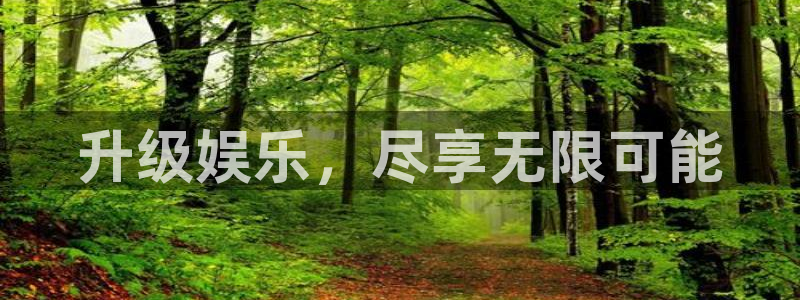 二四六天天彩944,赢彩：升级娱乐，尽享无限可能