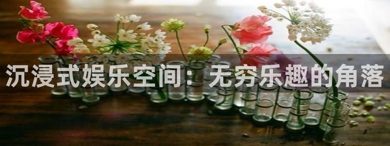 赢彩官方网站：沉浸式娱乐空间：无穷乐趣的角落