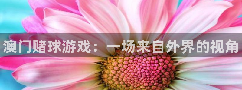 s99cc赢彩网：澳门赌球游戏：一场来自外界的视角