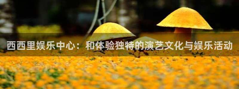 二四六天空彩选好资料赢彩：西西里娱乐中心：和体验独特的演艺文化与娱乐活动