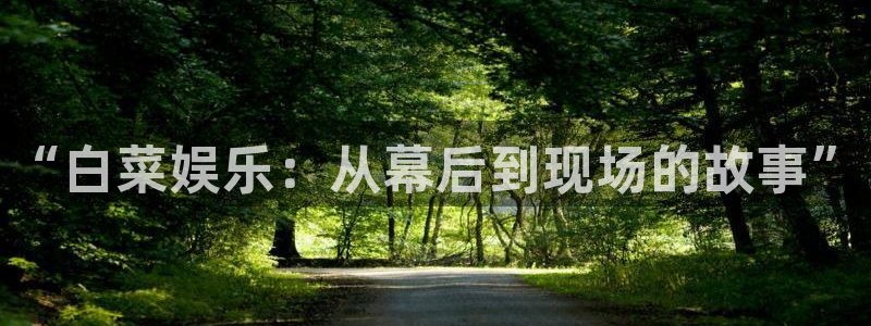 赢彩app安卓下载：“白菜娱乐：从幕后到现场的故事”