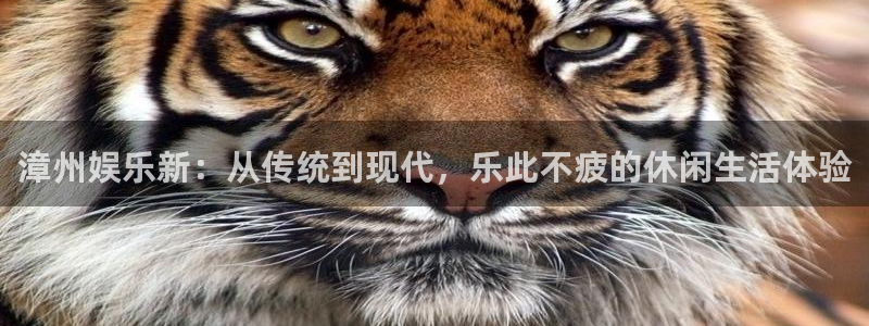 赢彩吧859cc赢彩：漳州娱乐新：从传统到现代，乐此不疲的休闲生活体验